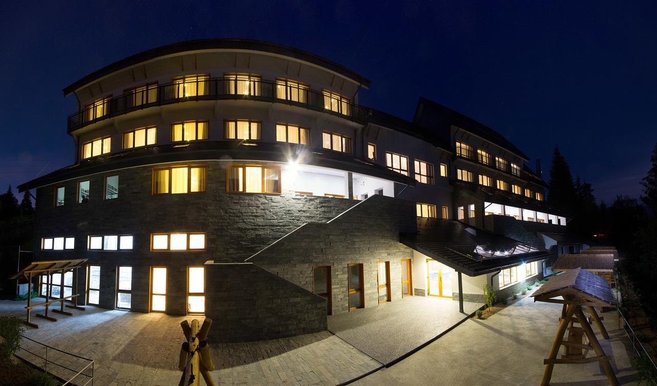 Pensiunea Art 1000 Lunca Visagului